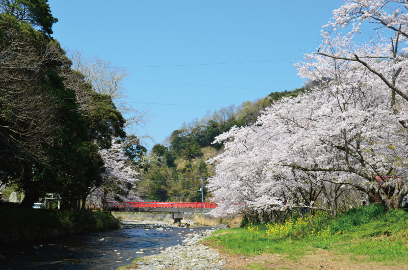 第74回大沢温泉桜祭り竹短冊吊るし