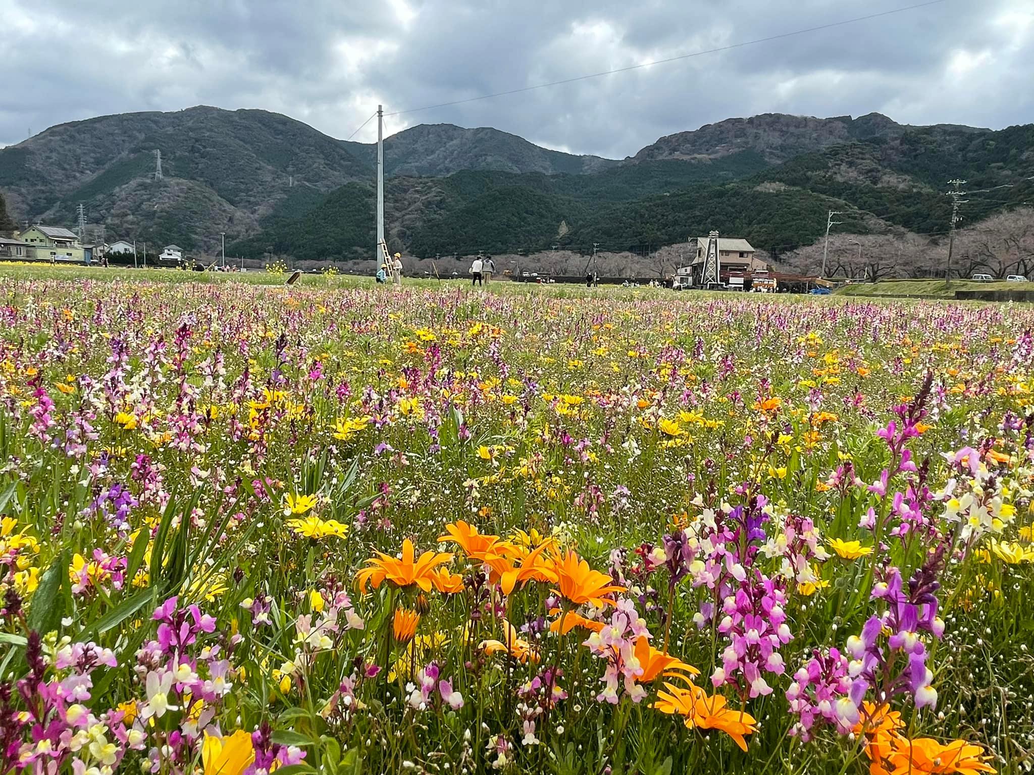 276292277_1364986303924269_921