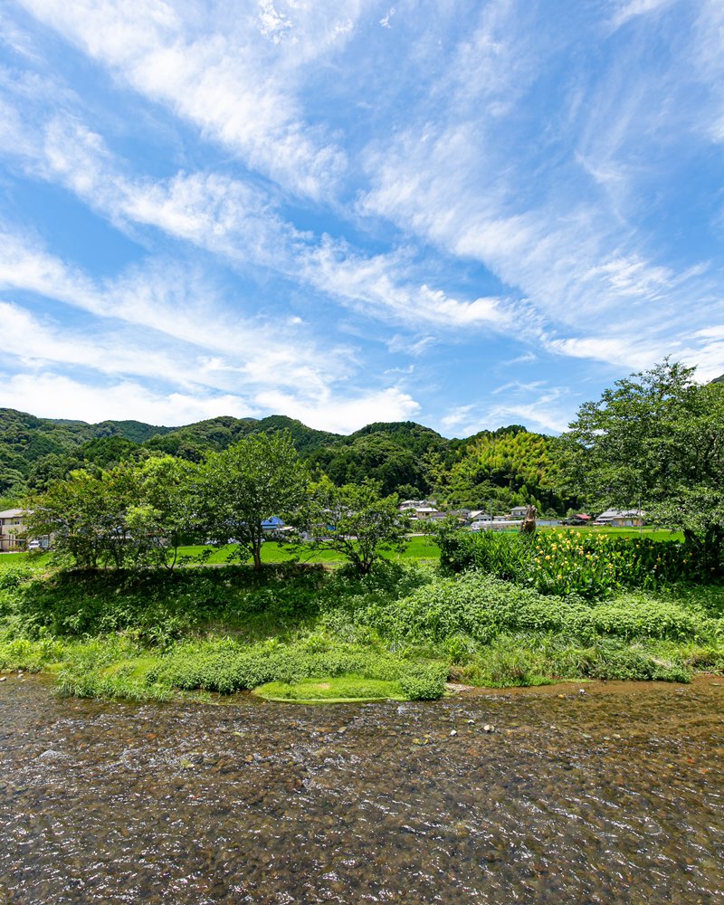 梅雨明けのような爽やかな日-岩科川と青空-