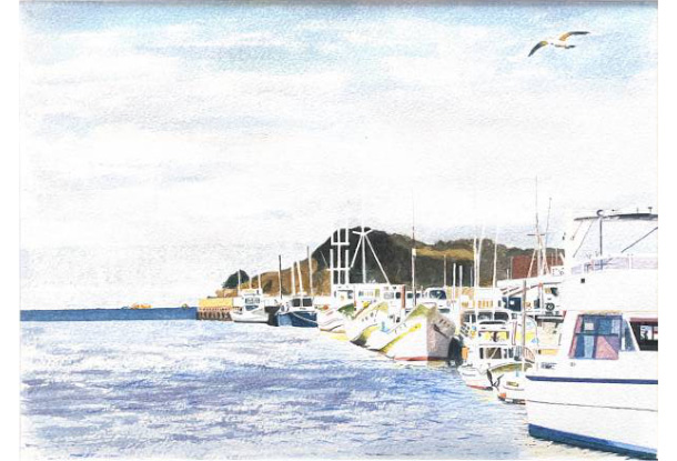 小板橋　孝さんの作品「かもめ」