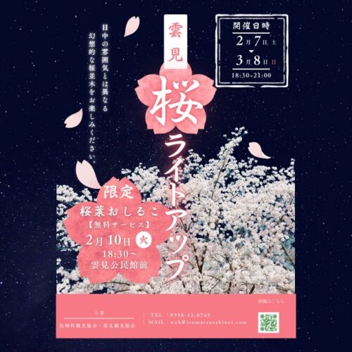 河津桜ライトアップ ～雲見～】 | 松崎町観光協会